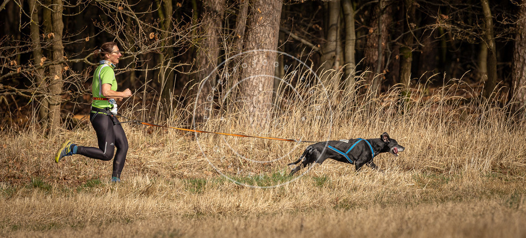 DV3A3870 | Hundefotografie, Tierfotograf, Pfotenfotografie, Fotoshooting Hund, Hunde Portrait, Hundesport, Hundeportraits, Heideshooting, Hunde, Sportfotograf, Hundefotograf, Turnierhundsport, THS,  - Realisiert mit Pictrs.com