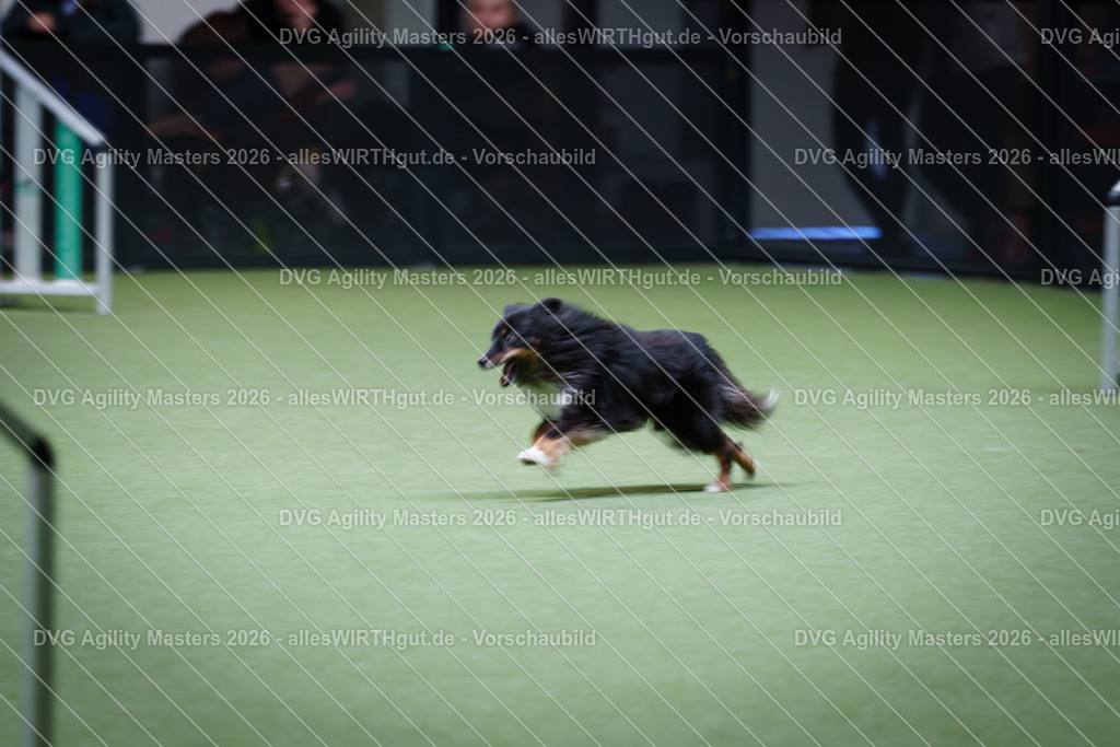 allesWIRTHgut_Tierfotografie-DVG_Agility_Masters_2026-15_04-7R506072 | Professionelle Tierfotografie in Mönchengladbach von Daniel Wirth (allesWIRTHgut). Liebevolle & natürliche Bilder von Hunden & Katzen für unvergessliche Erinnerungen.