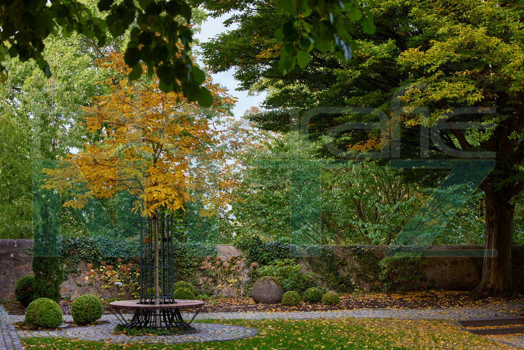 2022-10-12 14-21-38_10 _5_27213 | Nitz Fotografie aus Montabaur bietet Ihnen hier die Möglichkeit Bilder auszusuchen und zu bestellen. 