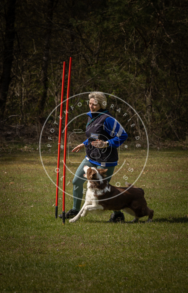 Pfotenfotografie_DV3A4189 | Hundefotografie, Tierfotograf, Pfotenfotografie, Fotoshooting Hund, Hunde Portrait, Hundesport, Hundeportraits, Heideshooting, Hunde, Sportfotograf, Hundefotograf, Turnierhundsport, THS,  - Realisiert mit Pictrs.com