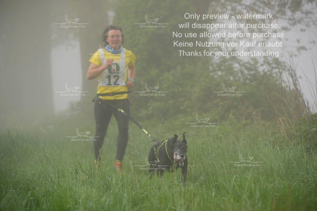 SA_GL2-67 | stephaniefillaphotographie - Realisiert mit Pictrs.com