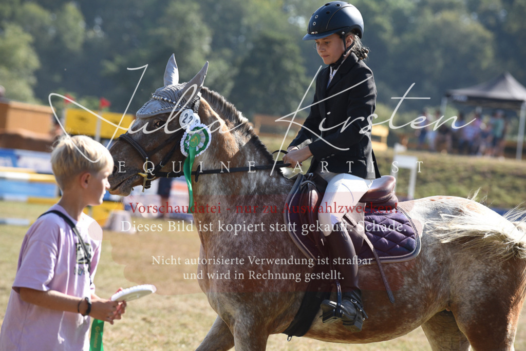 DSC_6180 | Pferde- und Turnierfotografie in Westsachsen. Pferdeportraits, Auftragszeichnungen und intuitive Kunst.