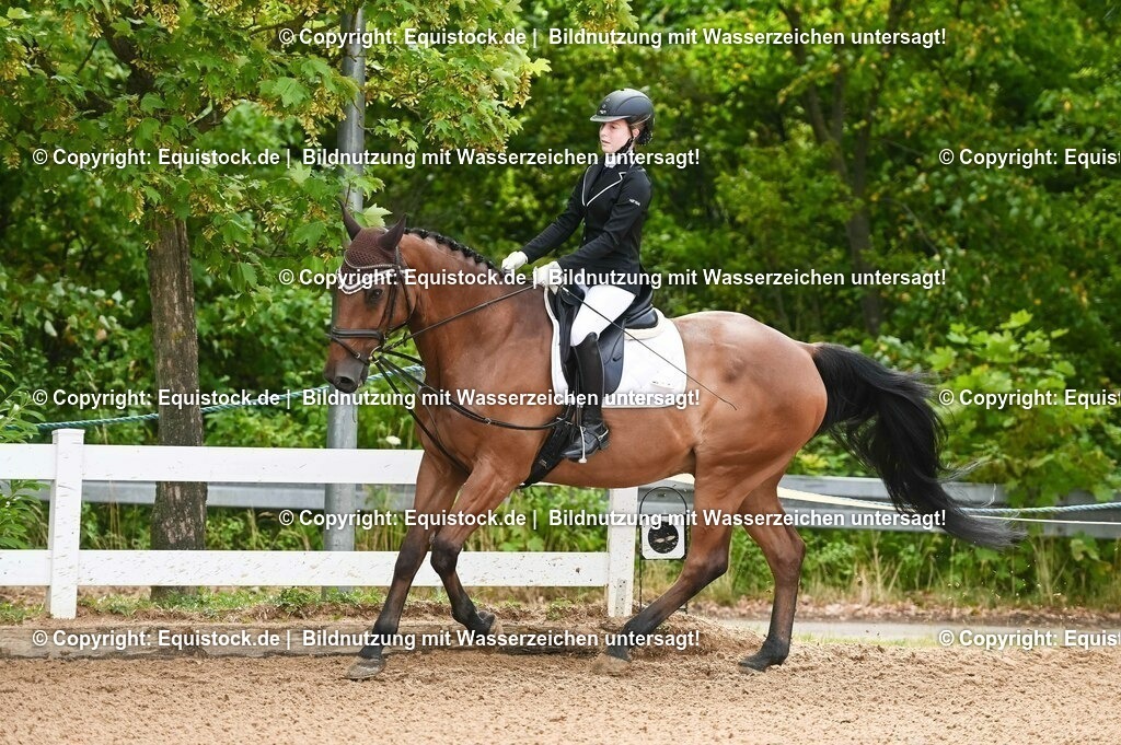 20230716_10-1_Reiter-WB Schritt - Trab - Galopp_0092 | equistock