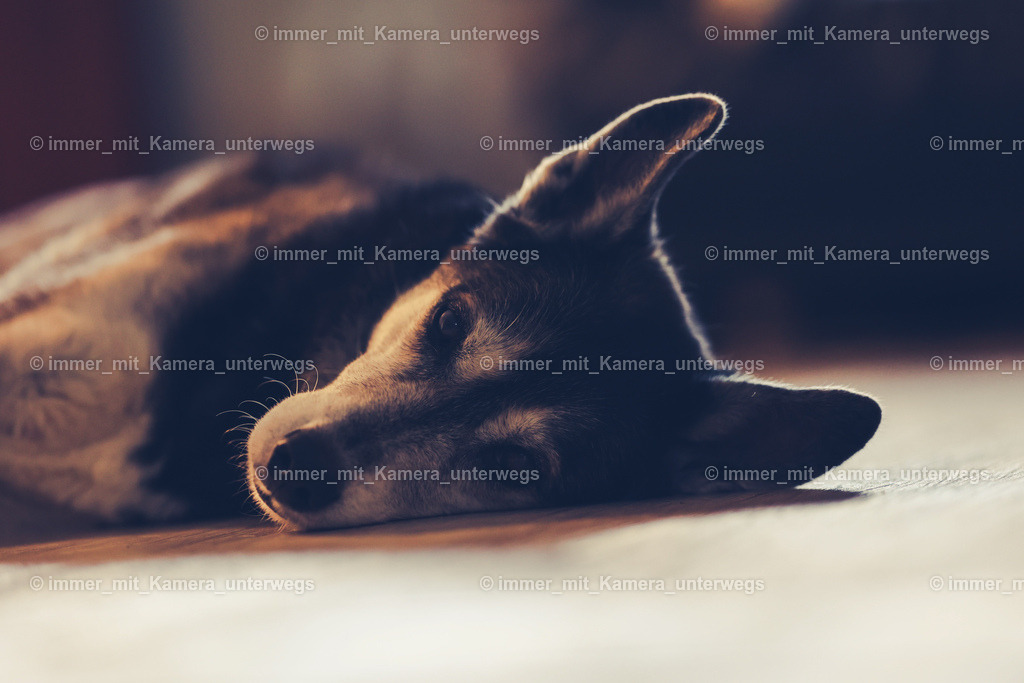 20240113141946_N39A3225 | immer_mit_kamera_unterwegs