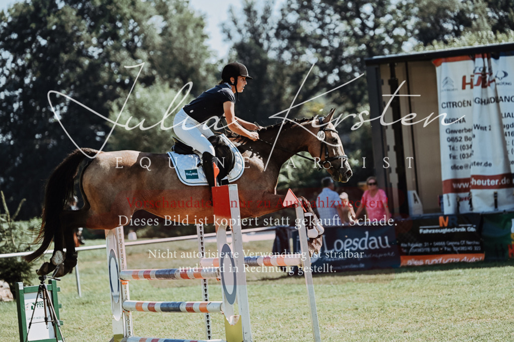 DSC_5950 | Pferde- und Turnierfotografie in Westsachsen. Pferdeportraits, Auftragszeichnungen und intuitive Kunst.