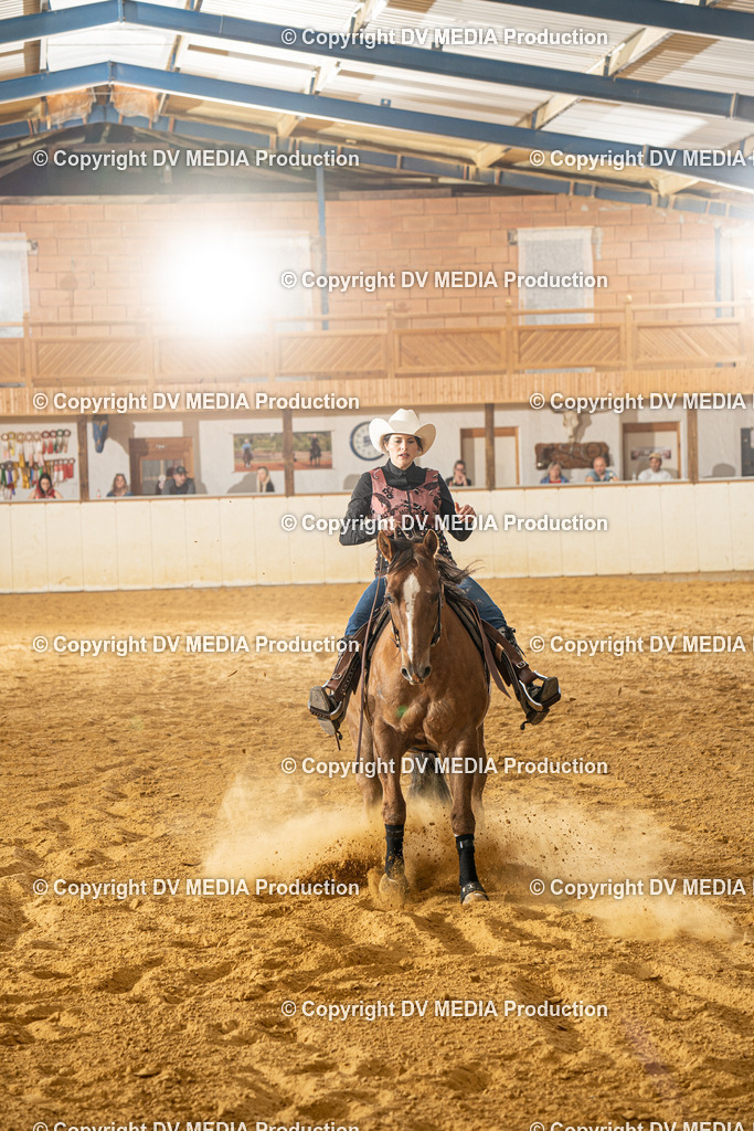 MIT00439 | dv-media-shop - Realisiert mit Pictrs.com