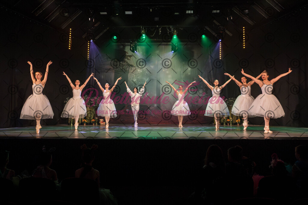 Ballettaufführung-973 | Bildershop Lem'n Entertainment - Realisiert mit Pictrs.com