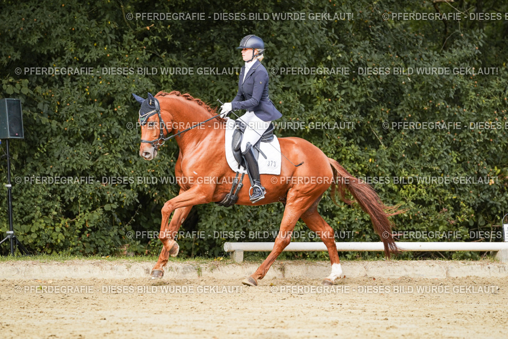 DSC02787 | Pferdegrafie