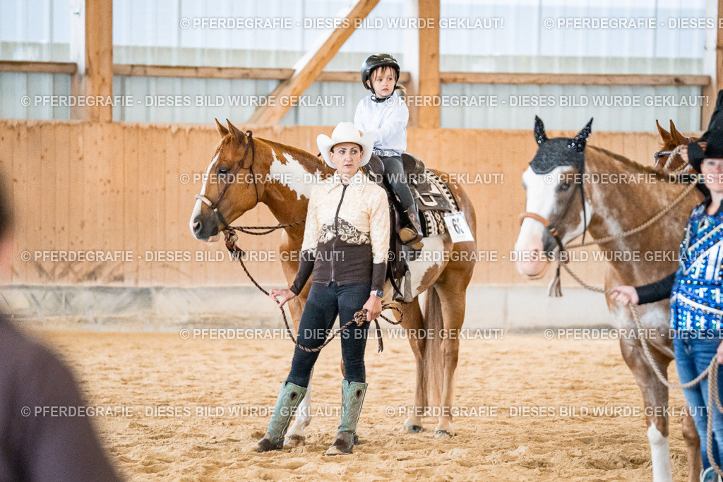 DSC01028 | Pferdegrafie