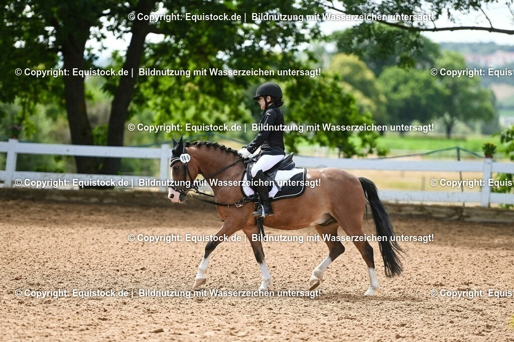 20230716_10-3_Reiter-WB Schritt - Trab - Galopp_0148 | equistock