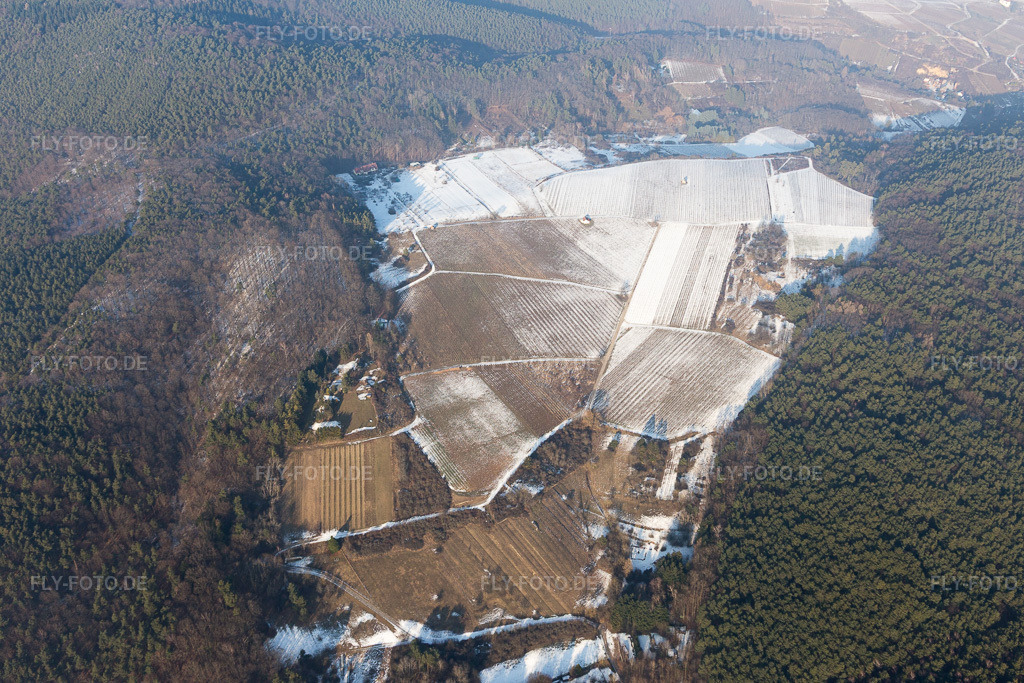Luftbild: Haardtrand-Wolfsteig im Schnee in Pleisweiler-Oberhofen im Bundesland Rheinland-Pfalz in Deutschland. Foto: IMG_096428.jpg vom 22.01.2017 durch Werner Riehm/FLY-FOTO.de