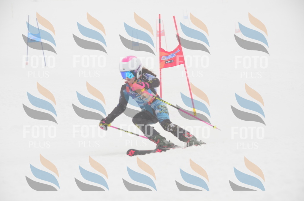 C1260 | holidayphoto