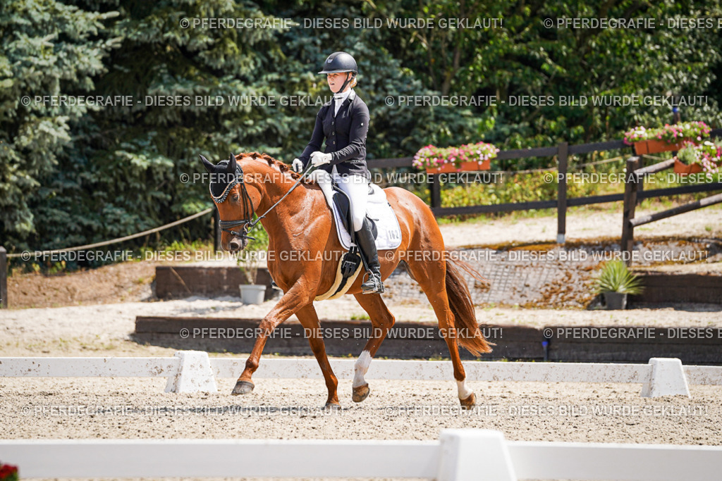 DSC00850 | Pferdegrafie