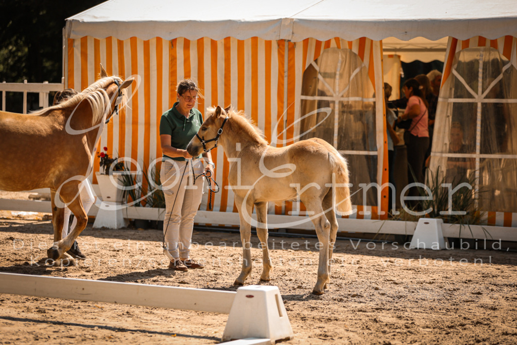 06.DoH00074 | Leoni Ertmer Photography - Realisiert mit Pictrs.com