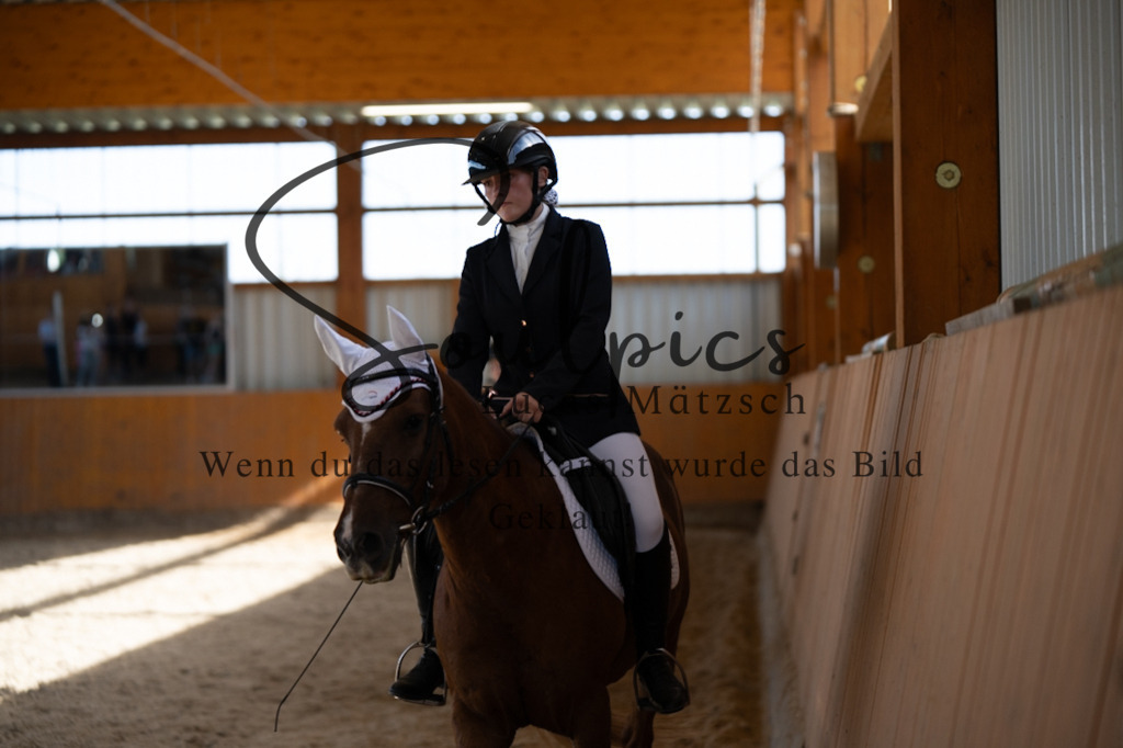 A7V02122 | Turnier/Reitfotograf