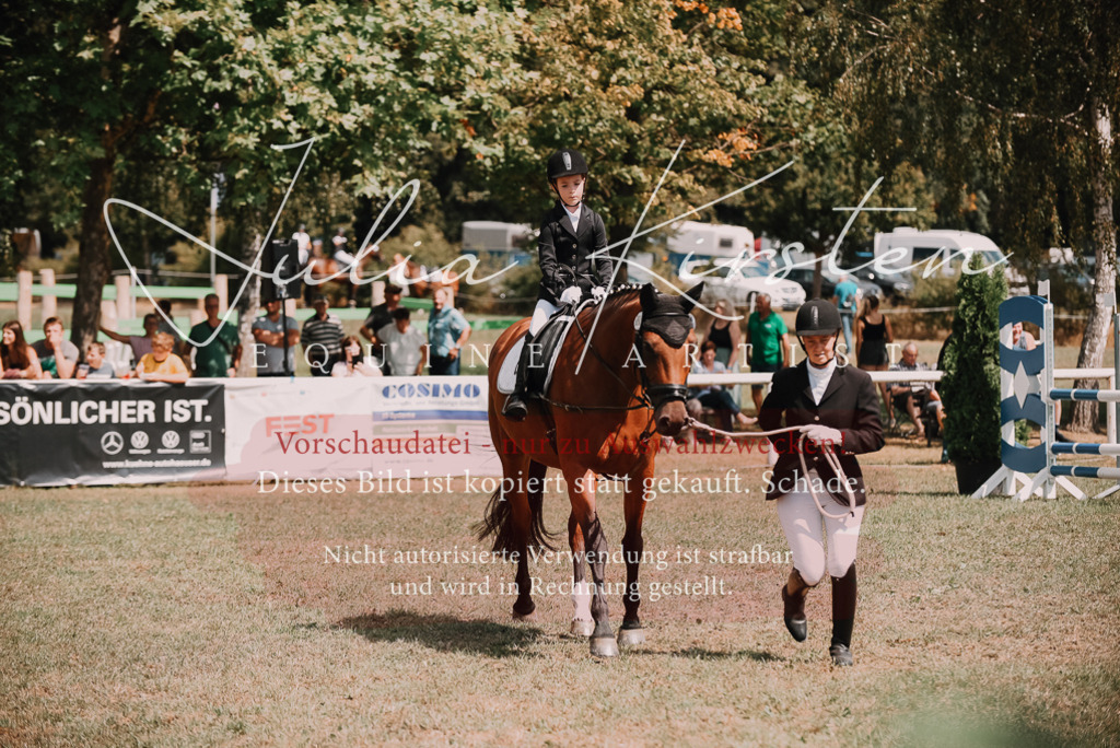 DSC_6152 | Pferde- und Turnierfotografie in Westsachsen. Pferdeportraits, Auftragszeichnungen und intuitive Kunst.