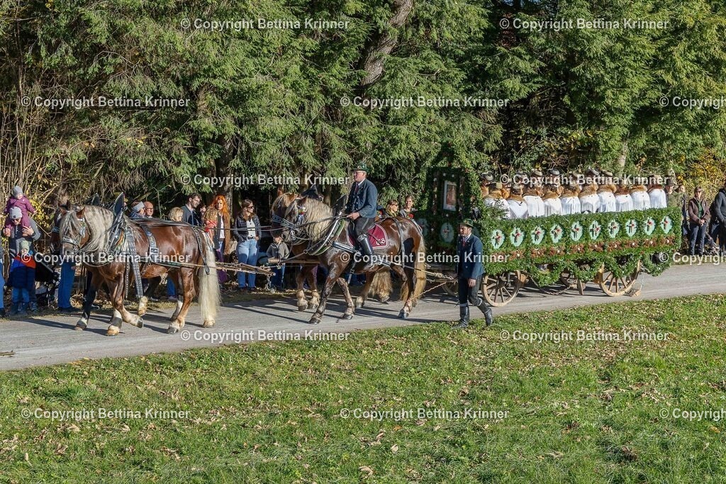 LBT25-343 | foto-bettina-krinner - Realisiert mit Pictrs.com