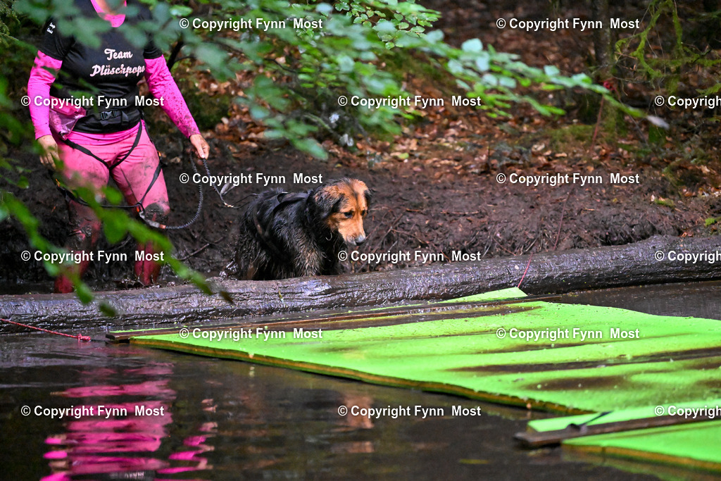 DSC_0529 | Hallo und herzlich Willkommen auf meiner Shop-Seite Fynn Most.

Ich wünsche Dir viel Spaß beim stöbern durch die Bilder, wenn Du Fragen hast oder Bilder vermisst, kannst du mir gerne eine Nachricht schreiben. - Realisiert mit Pictrs.com