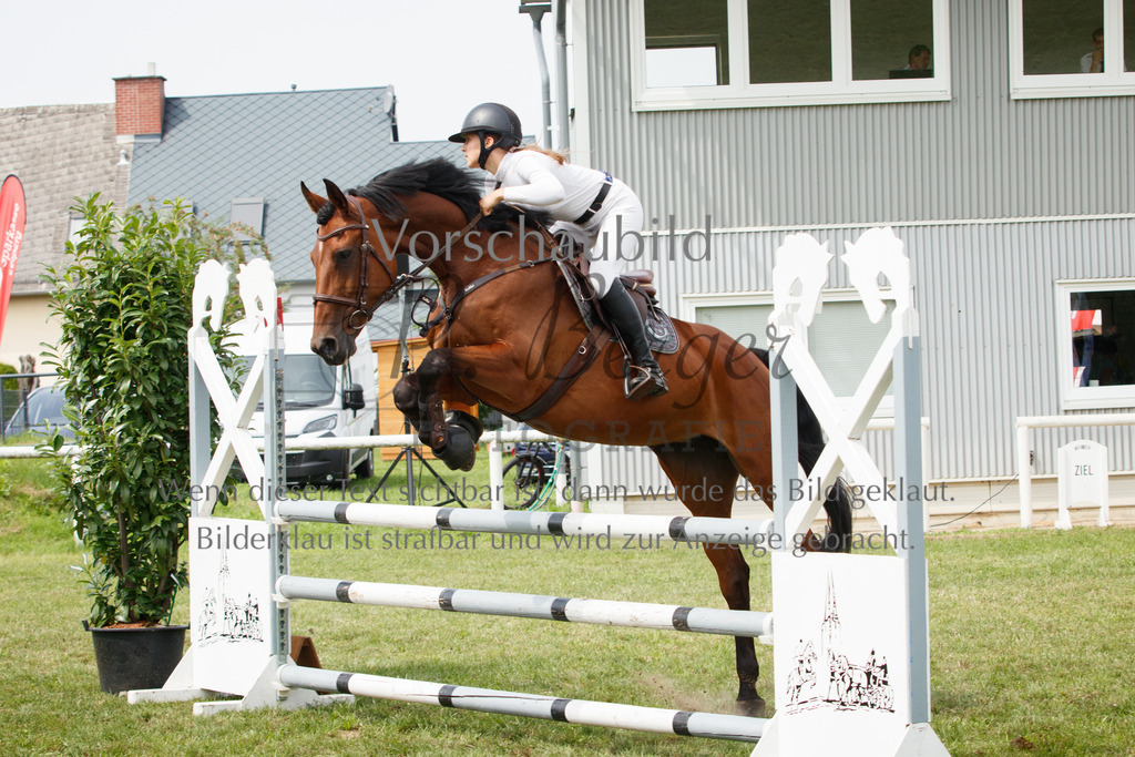 IMG_3182 | P. Berger Fotografie - Realisiert mit Pictrs.com