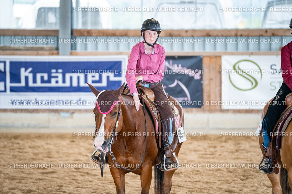 DSC01401 | Pferdegrafie