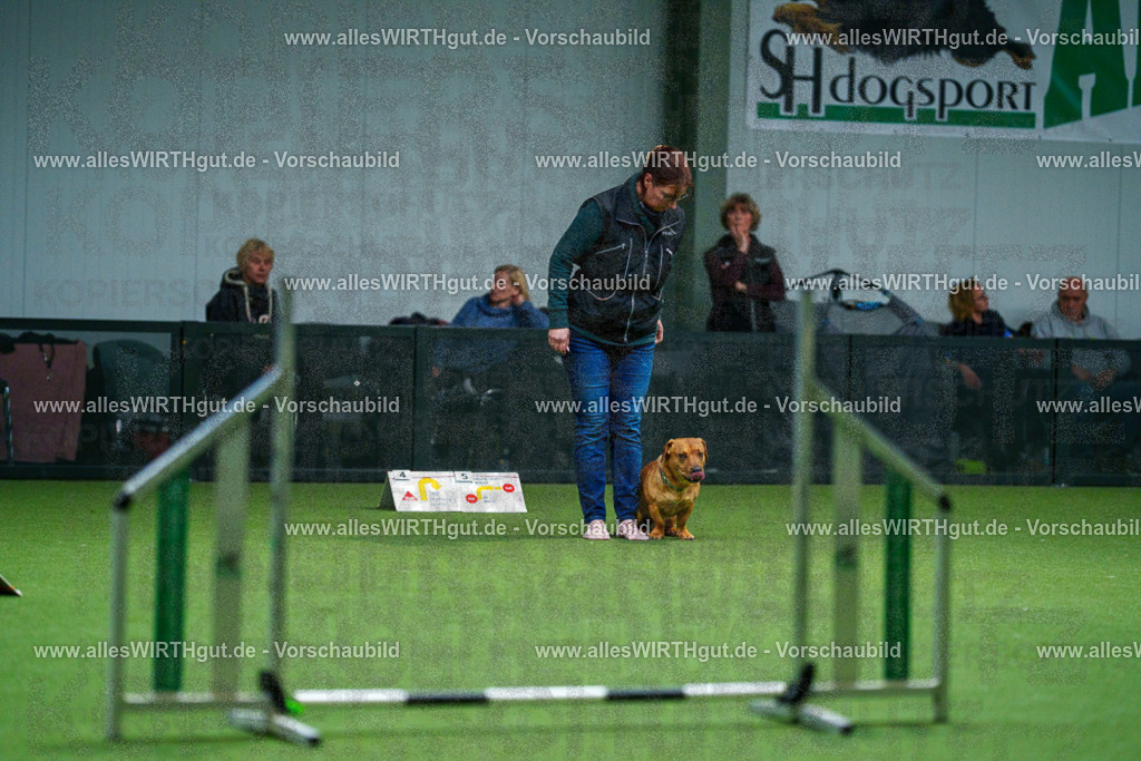 7R502352 | Professionelle Tierfotografie in Mönchengladbach von Daniel Wirth (allesWIRTHgut). Liebevolle & natürliche Bilder von Hunden & Katzen für unvergessliche Erinnerungen.