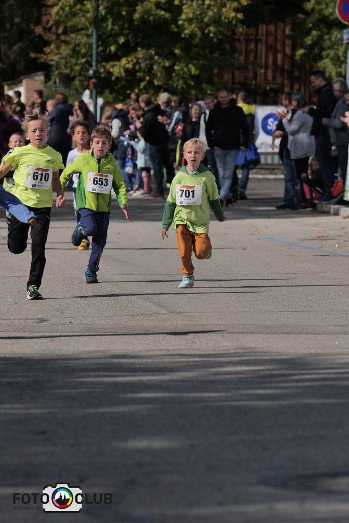 D (390) | Foto Buchgraber