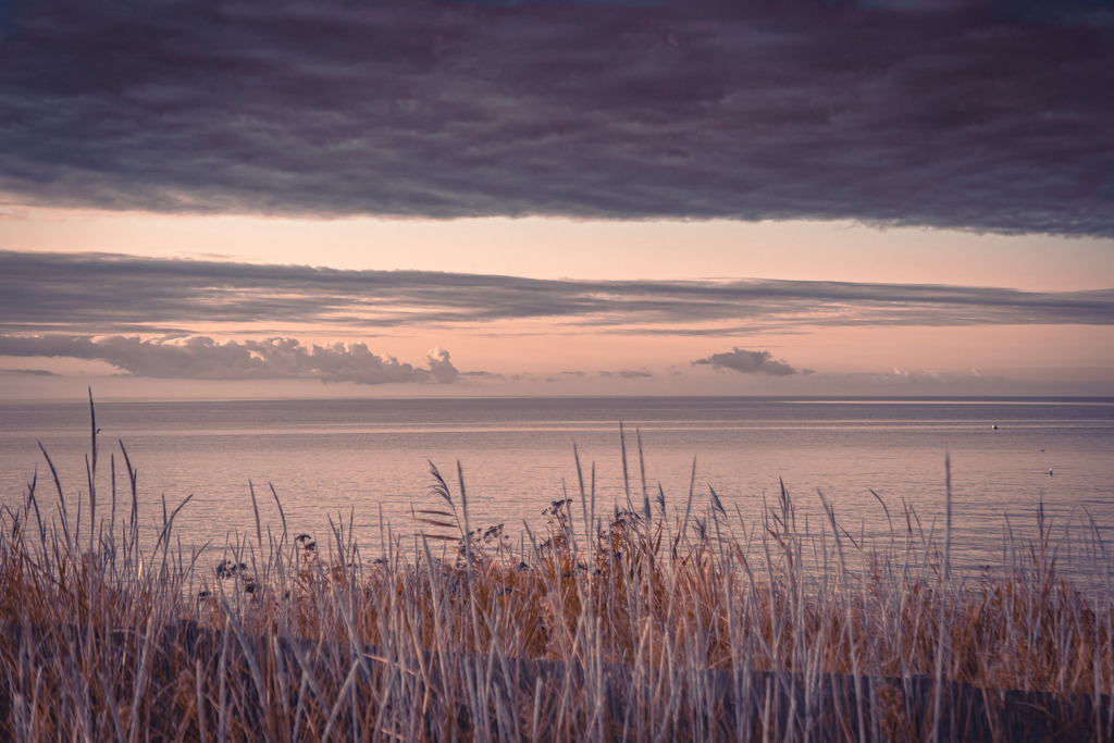 DSC02229 | frl-wunderlich - Realisiert mit Pictrs.com