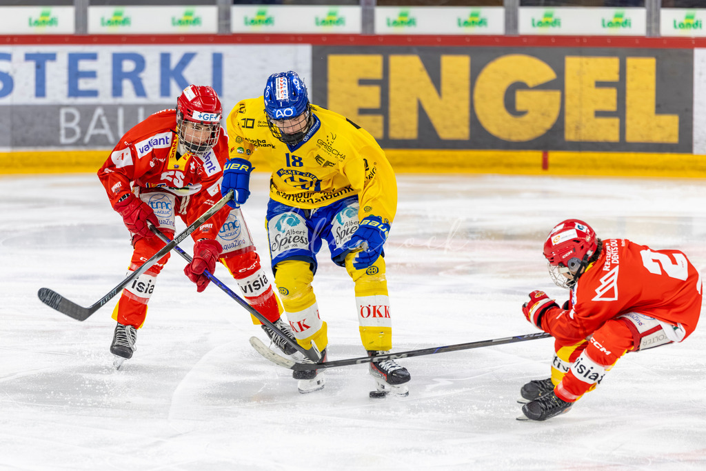 EHCB vs HCD 20262703-439981568 | Sportbilder, Sportfotograf, Hochzeits- und Eventfotografin, Flugshows, Portraits und Tiershooting, Aviation, Downhill, Nationalleague, Swissleague, International