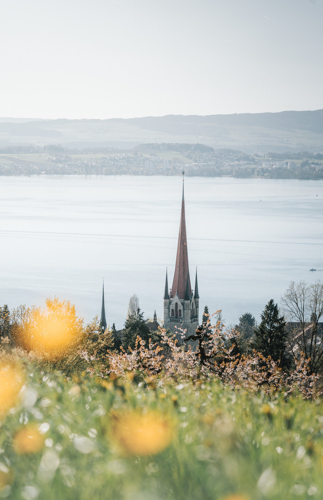 Altstadt Zug | Im Frühling aus der Höhe - Realisiert mit Pictrs.com