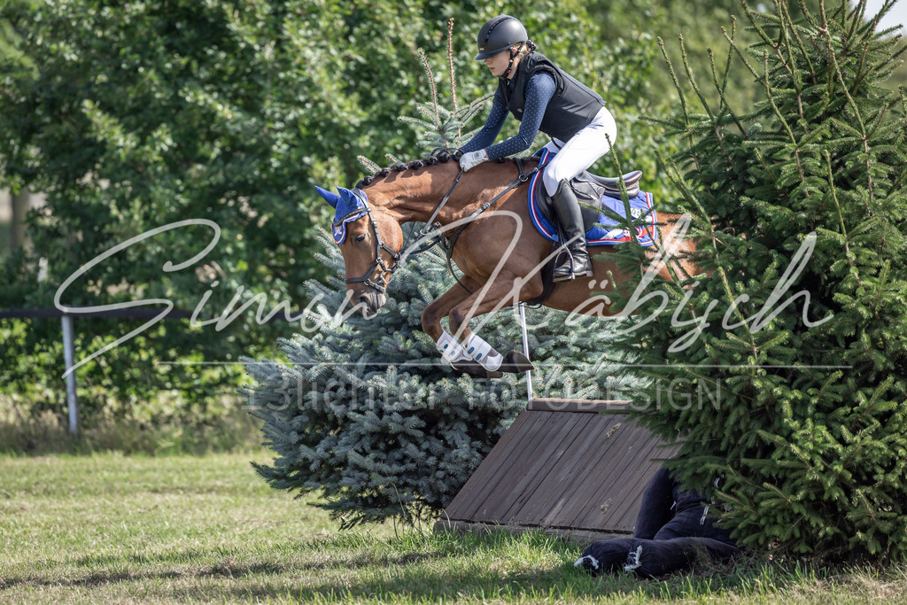 20250907-_3LI9940 | Tierfotografie Pferde, Hunde, Katzen, Haustiere.
Turnierfotografie Reitturniere, Reiten, Springreiten, Dressur in Hanau, dem Main-Kinzig-Kreis und dem Rhein-Main- Gebiet um Frankfurt