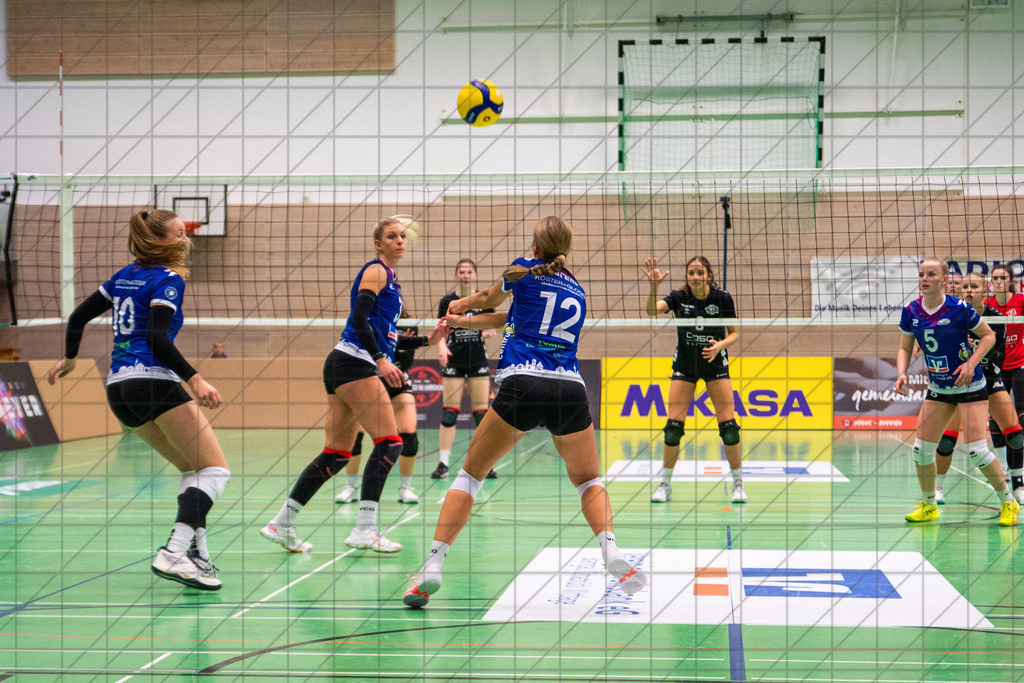 2. VBLF Nord 25/26 | Spiel 4041 | VC Osnabrück vs. RC Sorpesee | //  30.11.25: 2. VBLF Nord 25/26 | Spiel 4041 | VC Osnabrück vs. RC Sorpesee / Osnabrück / Deutschland  //   CREDIT:www.bullenfotos.de, Martin König, Hörner Weg 40, D-49078 Osnabrück, +4917663732967 // Nutzung und Weitergabe nur zu den vereinbarten Zwecken. Presseanfragen an Ersteller. Alle Rechte beim Ersteller. Honorierung nach MFM. - Realisiert mit Pictrs.com