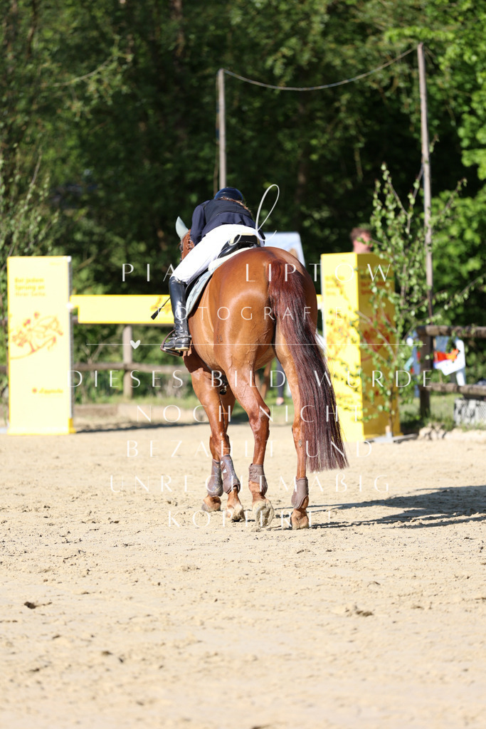 IMGS5532 | pl-fotografie