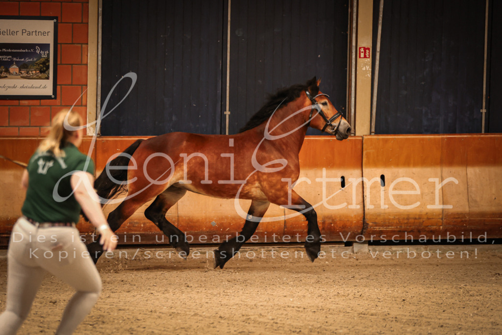 SaFL00046 | Leoni Ertmer Photography - Realisiert mit Pictrs.com