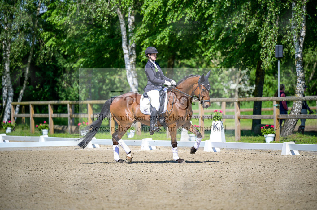 Reitturnier Lienen | Entdecke hochwertige Reitturnierfotos von Foto Oger. Professionell, emotional und authentisch – jetzt Lieblingsmomente im Shop bestellen. - Realisiert mit Pictrs.com