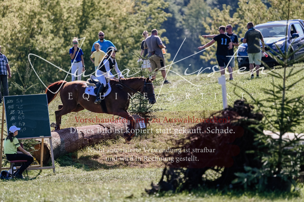 DSC_2656 | Pferde- und Turnierfotografie in Westsachsen. Pferdeportraits, Auftragszeichnungen und intuitive Kunst.