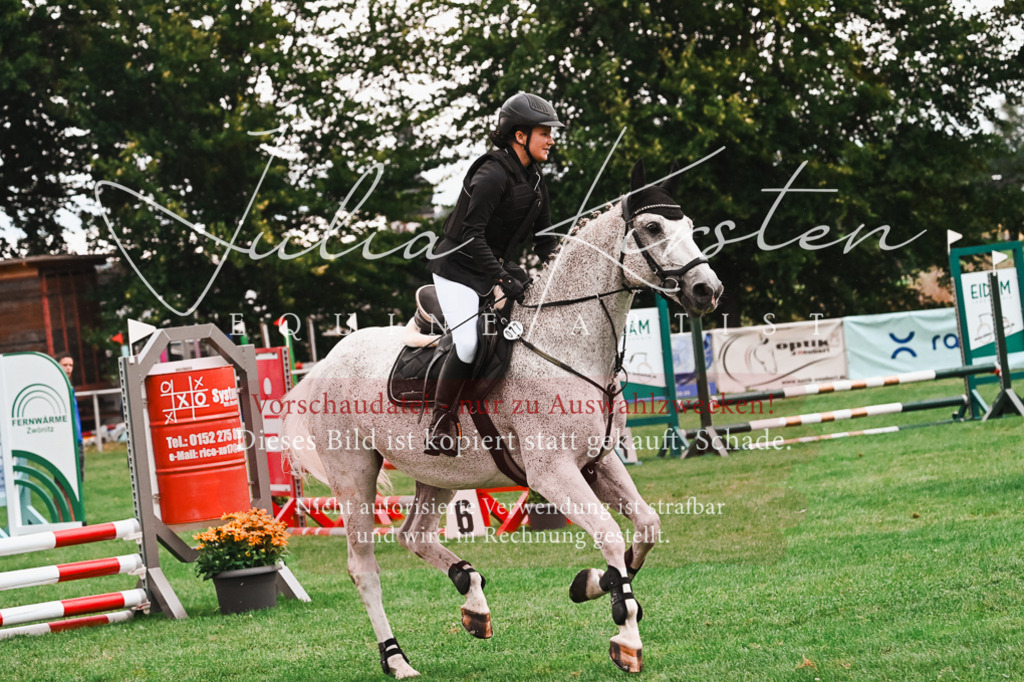 DSC_6072 | Pferde- und Turnierfotografie in Westsachsen. Pferdeportraits, Auftragszeichnungen und intuitive Kunst.