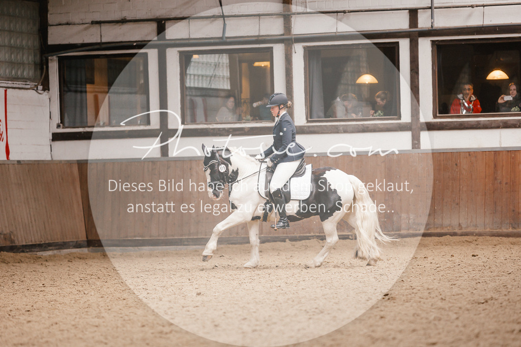 3I6A7947 | Stimmungsvolle Portraits und Reitsportfotografie im Ruhrgebiet und im Münsterland.

Pferdefotografie, Hundefotografie, Tierfotografie, Reportagen, Portraits von Tier und Mensch, Turnierfotografie in Bochum, Recklinghausen, Marl, Haltern am See, Dülmen.. - Realisiert mit Pictrs.com