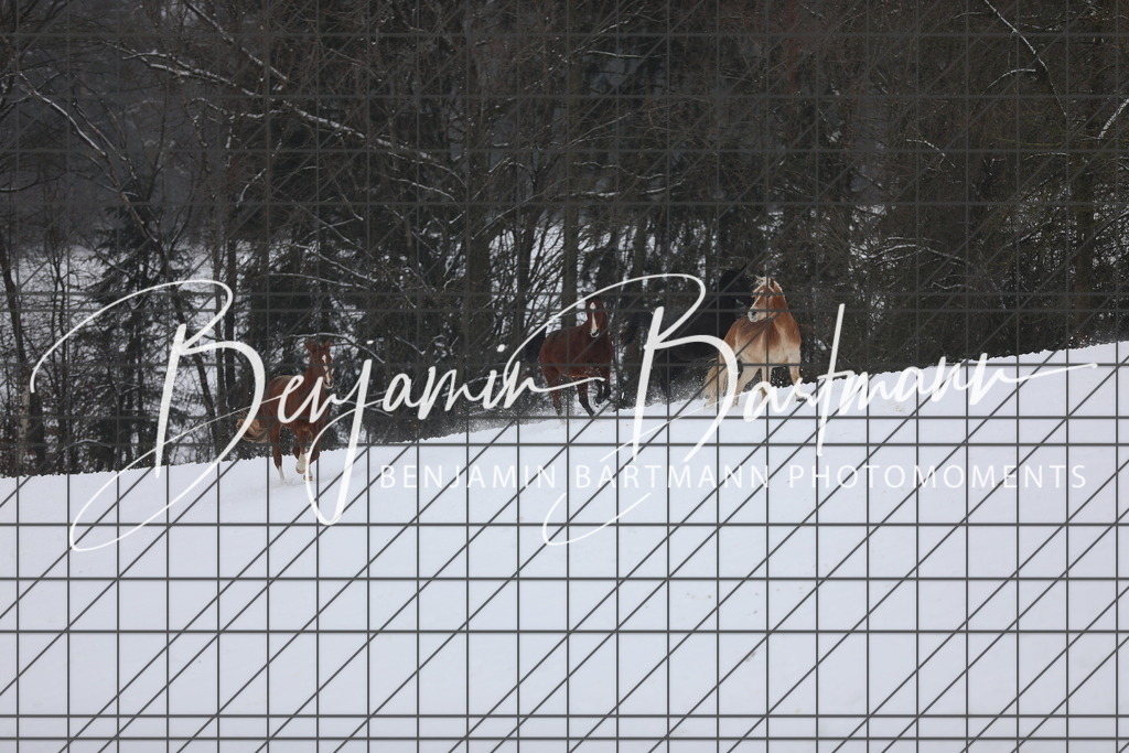 AZ2A3340 | Benjamin Bartmann Photomoments