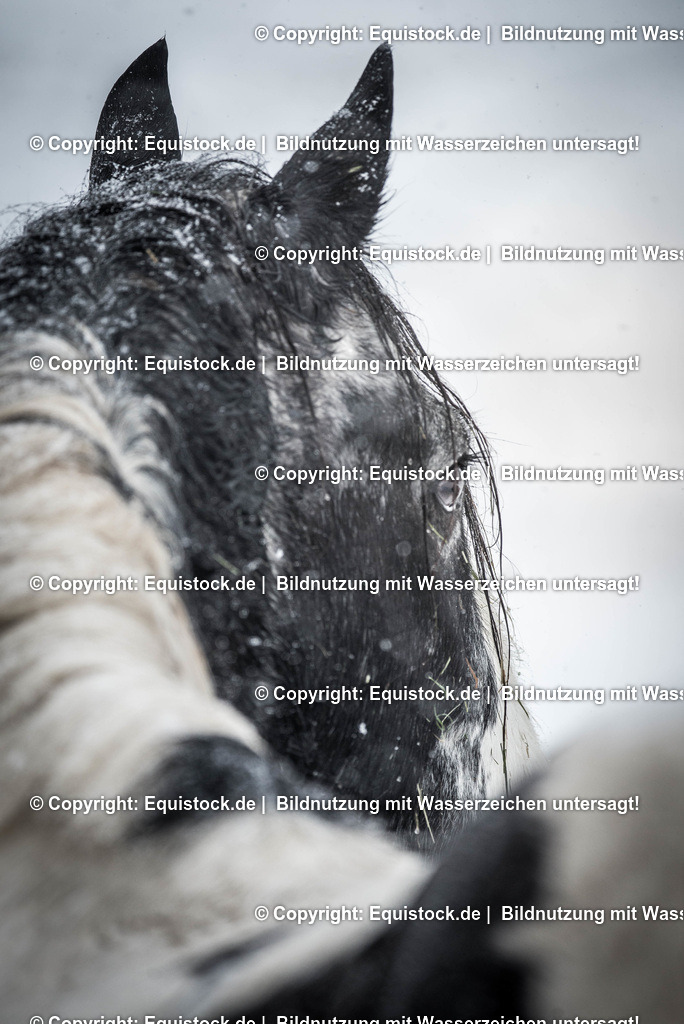 TS_20180217_Tinker_Schneegest__ber_0001 | Foto: Thomas Hartig