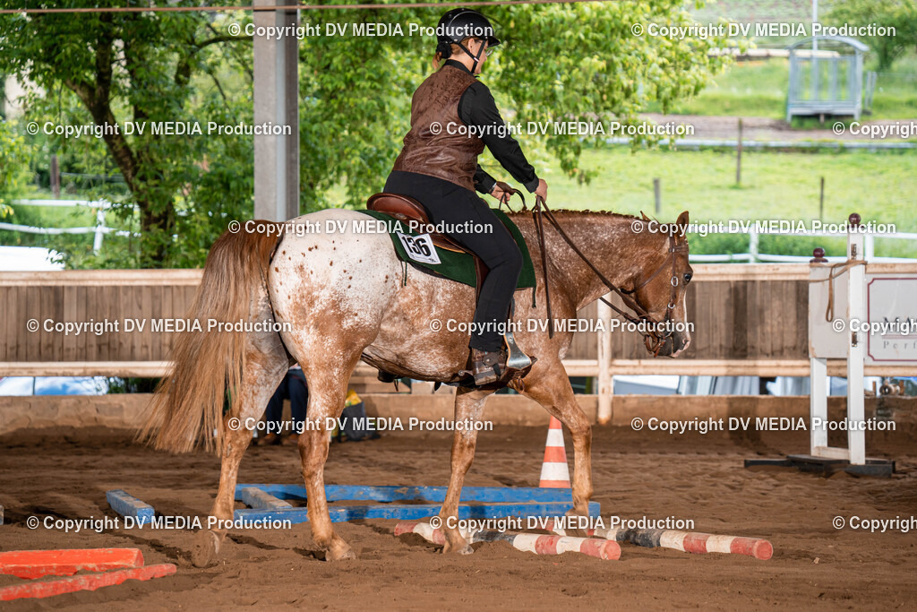 Erbach Tag 1-167 | dv-media-shop - Realisiert mit Pictrs.com