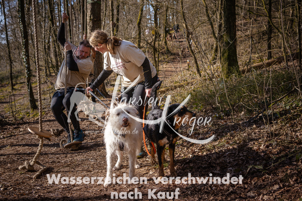 0913_ZZ96650 | kk-dogfotos