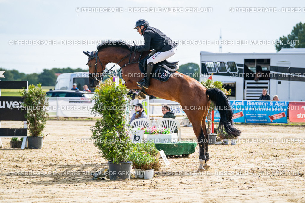 DSC06622 | Pferdegrafie