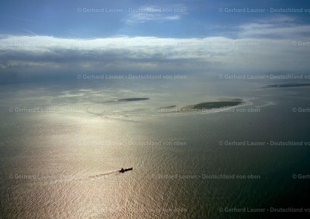 9300158 | Vogelschutzgebiet Mellum, Nationalpark Niedersächsisches Wattenmeer