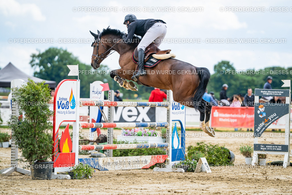 DSC06061 | Pferdegrafie