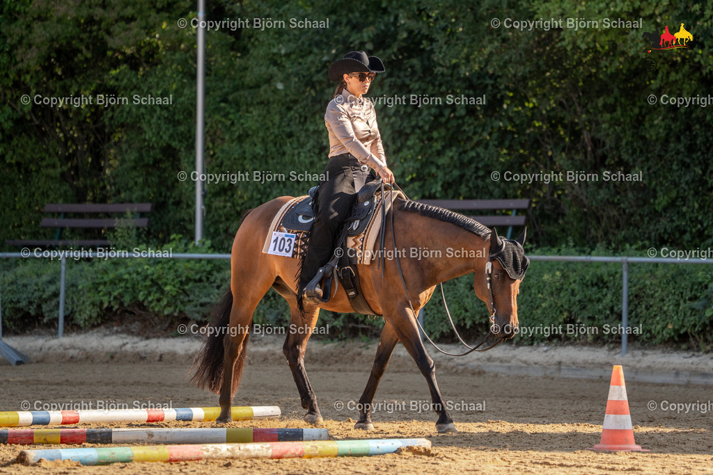 LMS04811 | BS-foto
