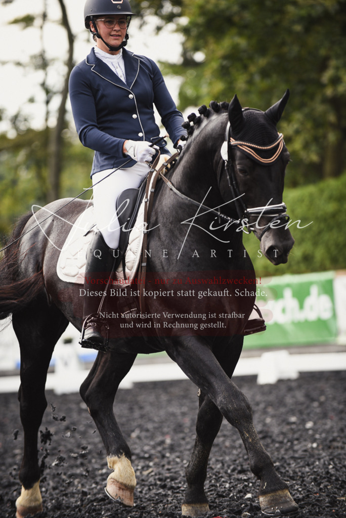 DSC_3747 | Pferde- und Turnierfotografie in Westsachsen. Pferdeportraits, Auftragszeichnungen und intuitive Kunst.