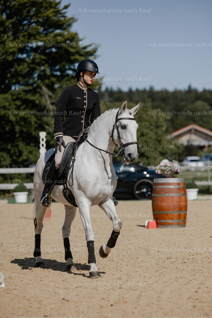 Virginie12FHC2025-27256 | working equitationturnier fotograf videograf stoibphotography marixx film working equitation deutschland reitsport turnierfotografie eventfotografie equestrian events