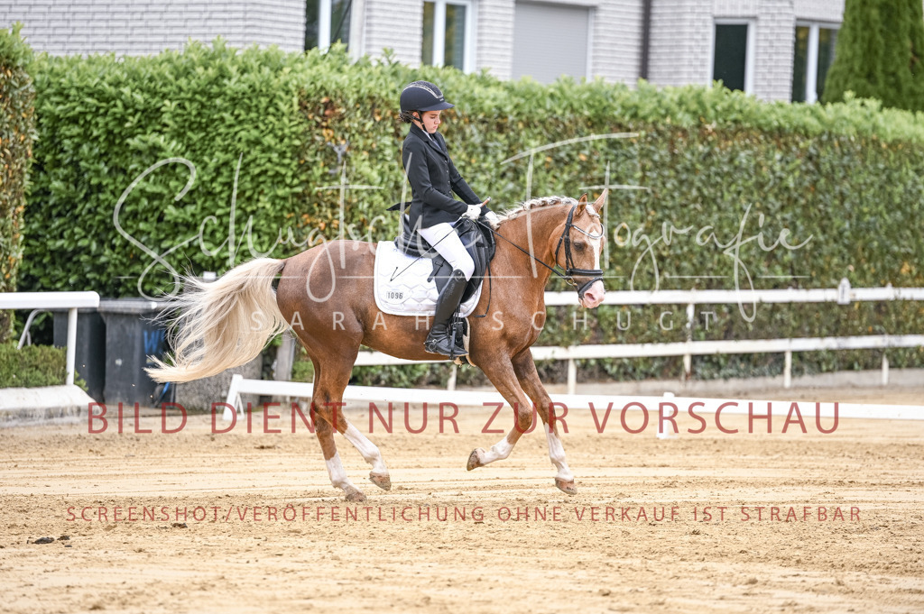 Schugtsche-Aluta25-42.EDressur -184 | Schugtsche Fotografie - Realisiert mit Pictrs.com