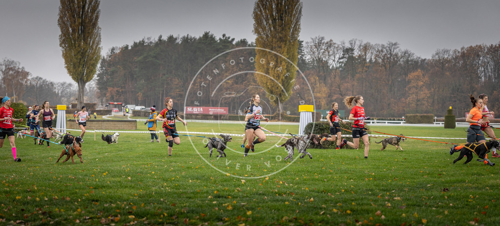 CaniXpix_DV3A8819 | Hundefotografie, Tierfotograf, Pfotenfotografie, Fotoshooting Hund, Hunde Portrait, Hundesport, Hundeportraits, Heideshooting, Hunde, Sportfotograf, Hundefotograf, Turnierhundsport, THS,  - Realisiert mit Pictrs.com