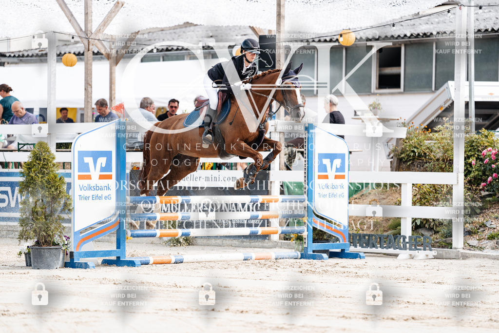 CK908884 | Turnierfotografie Pferdefotografie Trier Rheinland-Pfalz Pferdesport Reitsport Tierfotografie Sportfotografie Pferdevideo Pferdevideografie Equestrianvideography equestrianphotography  - Realisiert mit Pictrs.com